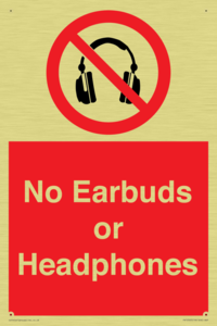 No Earbuds or Headphones